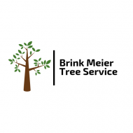 Brink Meier Tree Service – Professional Tree Care